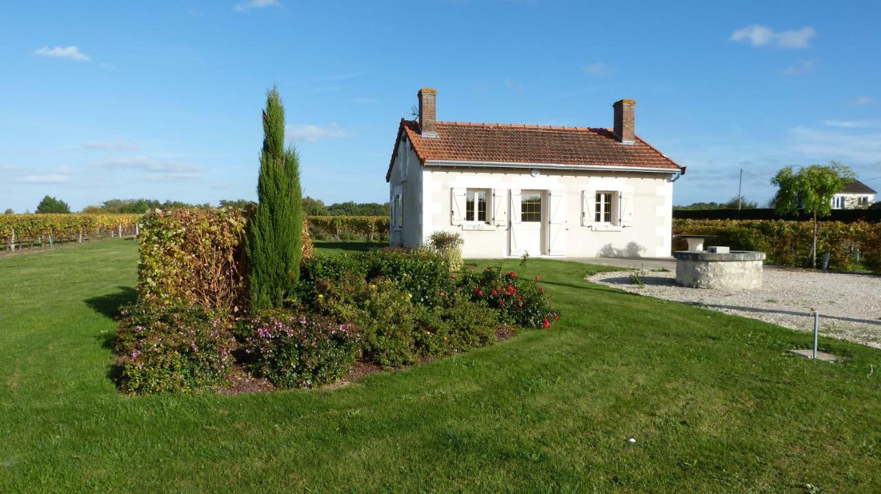 L'Ecrin Au Coeur Des Vignes Villa Saint-Georges-sur-Cher Exterior photo